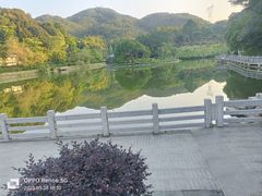 -广州市帽峰山景区