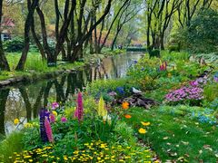 -上海共青森林公园