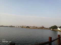 -鹅湖玫瑰文化园