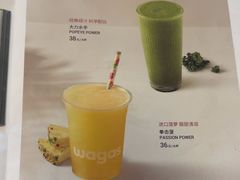 -Wagas沃歌斯(汇智店)