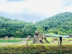 -杭州野生动物世界