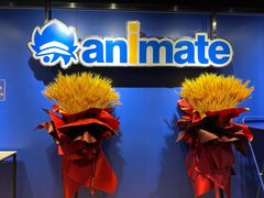 -Animate(工人体育场东路店)