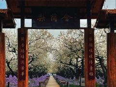 -江苏三台山国家森林公园