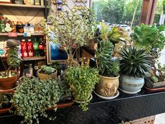 -鲜呦蒸汽石锅鱼(北辰路店)