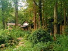 -杭州植物园
