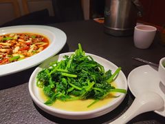 豌豆尖-万重锦·人文川菜馆(骡马市店)
