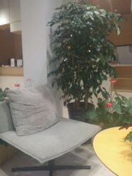 android_upload_pic-CARR SALON