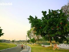 -东莞植物园