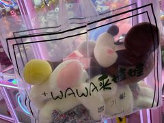 -+WAWA夹娃娃专门店·抓娃娃