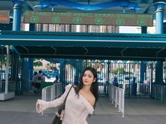 -海合安成都极地海洋公园