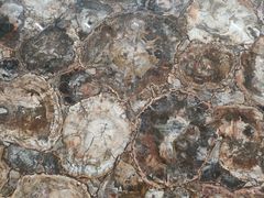 -同济大学图书馆(嘉定校区)