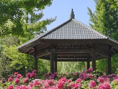 -济南植物园