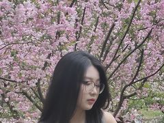 -堤角公园