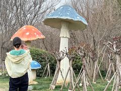 -荷兰花海