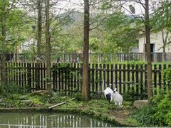 -上方山森林动物世界
