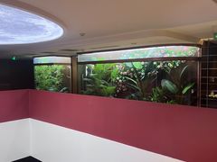 -皇冠明珠鱼翅楼(水上公园店)