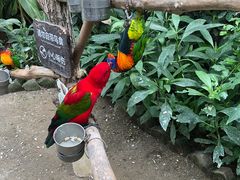 -南宫五洲植物乐园