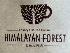 -喜马拉雅森HIMALAYAN FOREST