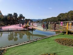-苏州太湖西山岛开心农场
