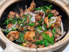 啫啫清远走地鸡块-惠食佳(滨江大公馆店)