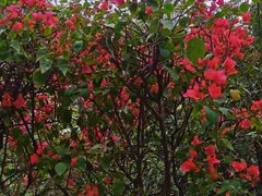 -白云山风景名胜区