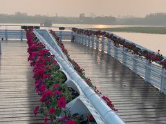 -大兴滨河森林公园