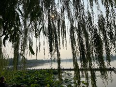 -济南大明湖景区