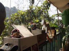 景观位-懒鱼时光馆(沙坪坝店)