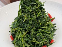 红果枸杞苗-清真·宁夏印象·盐池滩羊肉体验店(江宁路店)