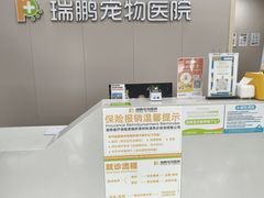 -瑞鹏宠物医院·骨外科·心肾科·肿瘤科(九亭店)