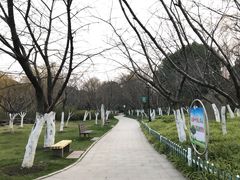 -范蠡湖公园