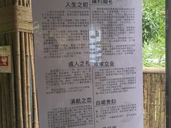 -西双版纳原始森林公园