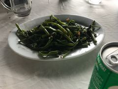 -越海渔村