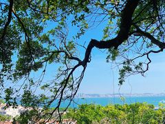 -莆田湄洲妈祖祖庙