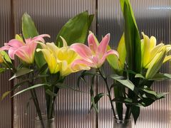 -鑫小城故事·藕汤·家常菜(台北一路总店)