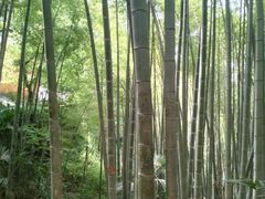 -浮山风景名胜区