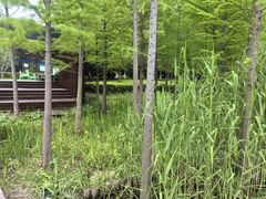 -昆山城市生态森林公园