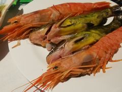 -五月罗马海鲜自助餐厅(陆家嘴店)