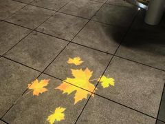 -海景壹号大酒店(滨湖店)