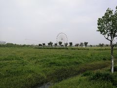 -金卉庄园