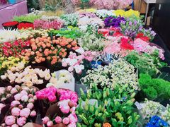 -双季花艺园艺市场(浦东店)