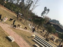 -黄龙溪欢乐田园