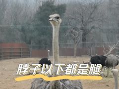 -西安秦岭野生动物园