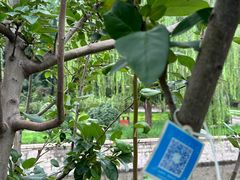 -元大都城垣遗址公园