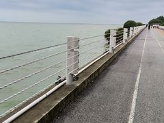 -贡湖湾湿地公园