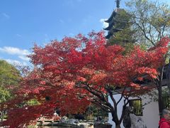 -常熟方塔园