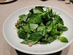 -金狮麟·新豫菜(杏石口路店)