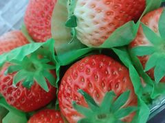 -百果园(奕淳公寓店)