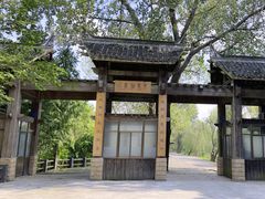 -溱湖国家湿地公园