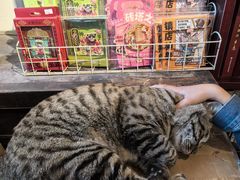 -正阳书局(西四南大街店)